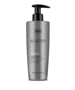 Alkemy Silver | Shampoo Antigiallo