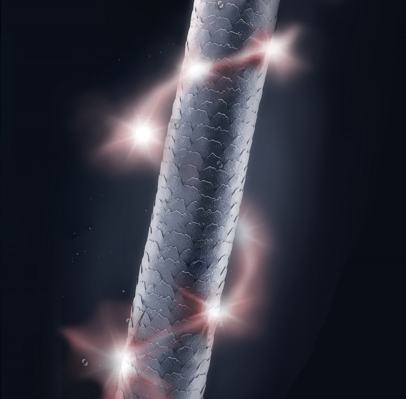 PIASTRA SHIRIN - MDG - immagine 4