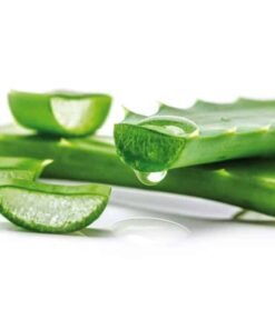 Alternative view of GUANTI IN LATTICE CON ALOE REFLEXX CARE L600