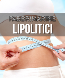 LIPOLITICI