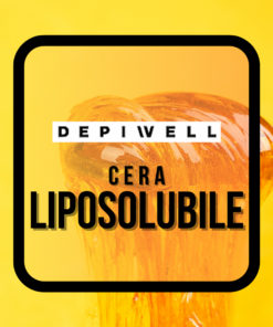 DEPIWELL CERA LIPOSOLUBILE