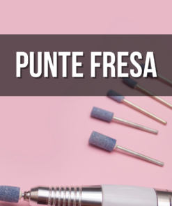 PUNTE FRESA