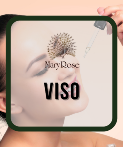 Viso Mary Rose
