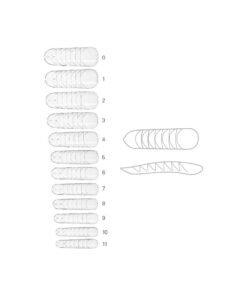 Alternative view of TIPS 2DUAL FORM MANI 120PZ 7565 - ESTROSA