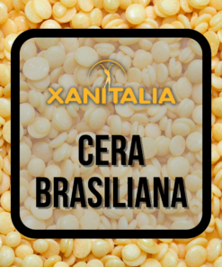 CERA BRASILIANA XANITALIA